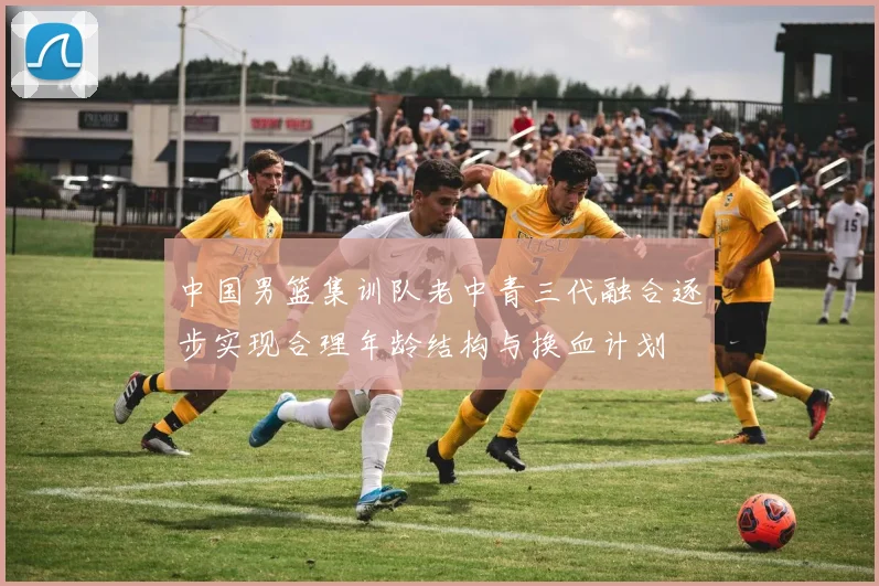 中国男篮集训队老中青三代融合逐步实现合理年龄结构与换血计划